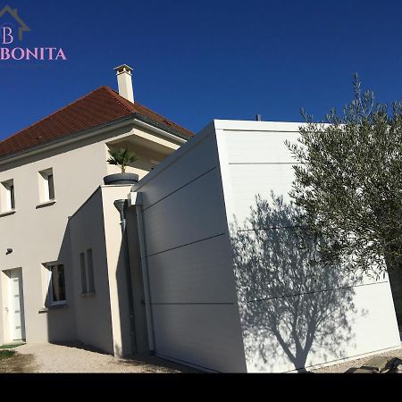 Chez Bonita Chouzy-sur-Cisse Exterior photo