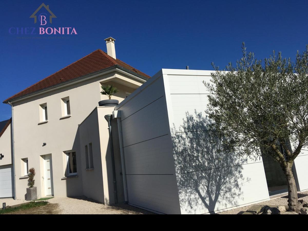 Chez Bonita Chouzy-sur-Cisse Exterior photo